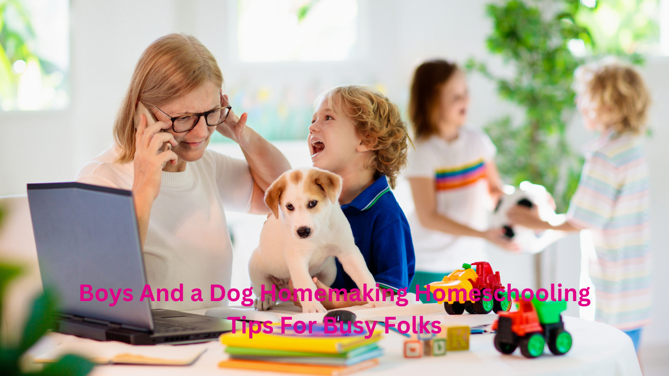 Boys And a Dog Homemaking Homeschooling Tips For Busy Folks