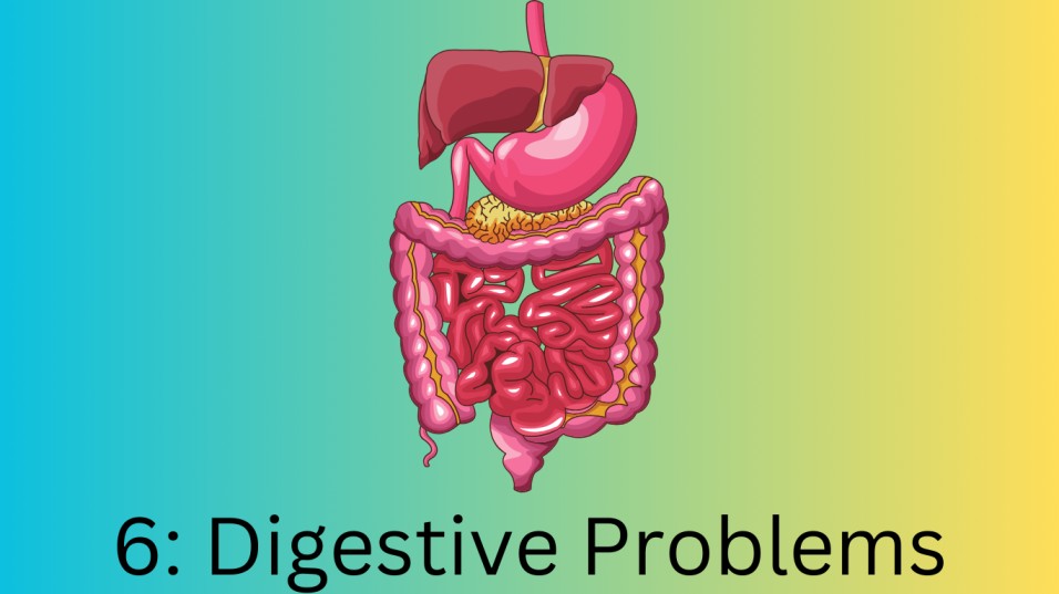 6. Digestive Problems